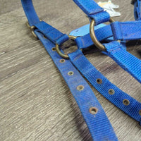 Thin Stiff Nylon Halter, 2x adjustable *gc/fair, stains, rusty, faded, rough, older, oxidized, loose & rusty grommets
