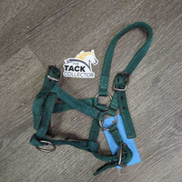 Thin Nylon Halter, 2x adjustable *gc, stains, dirt, edge rubs & frays
