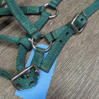 Thin Nylon Halter, 2x adjustable *gc, stains, dirt, edge rubs & frays
