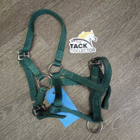 Thin Nylon Halter, 2x adjustable *gc, stains, dirt, edge rubs & frays
