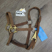 Thin Stiff Nylon Halter, 2x adjustable, Spring Snap *gc/fair, stains, dirt, edge rubs & frays, xholes
