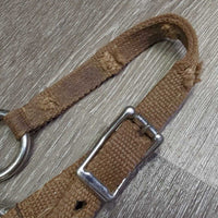Thin Stiff Nylon Halter, 2x adjustable, Spring Snap *gc/fair, stains, dirt, edge rubs & frays, xholes
