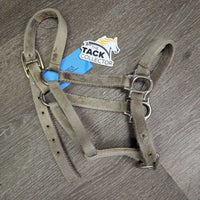 Thick Soft Nylon Halter, adj *gc, rubs, stains, frays, older, snags, v.faded
