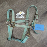 Thick Stiff Nylon Halter, adj, spring snap *gc/fair, stains, faded, rusty, xholes, discolored
