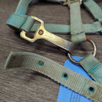 Thick Stiff Nylon Halter, adj, spring snap *gc/fair, stains, faded, rusty, xholes, discolored
