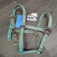Thick Stiff Nylon Halter, adj, spring snap *gc/fair, stains, faded, rusty, xholes, discolored

