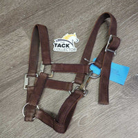 Thin Stiff Nylon Halter, spring snap, slide buckle *vgc, clean, older, mnr dirty & bubbled hardware
