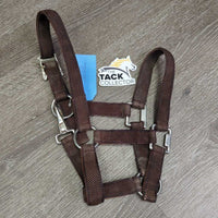 Thin Stiff Nylon Halter, spring snap, slide buckle *vgc, clean, older, mnr dirty & bubbled hardware

