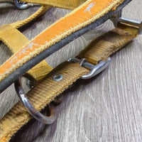 Thick Padded Nylon Halter, snap, adj *gc/fair, dirty, faded, stains, discolored, rusty, knotted

