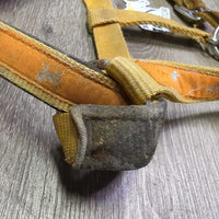 Thick Padded Nylon Halter, snap, adj *gc/fair, dirty, faded, stains, discolored, rusty, knotted
