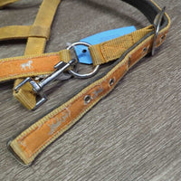 Thick Padded Nylon Halter, snap, adj *gc/fair, dirty, faded, stains, discolored, rusty, knotted
