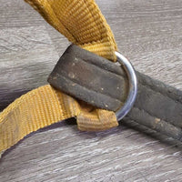 Thick Padded Nylon Halter, snap, adj *gc/fair, dirty, faded, stains, discolored, rusty, knotted
