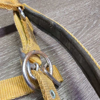 Thick Padded Nylon Halter, snap, adj *gc/fair, dirty, faded, stains, discolored, rusty, knotted
