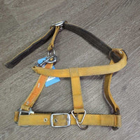 Thick Padded Nylon Halter, snap, adj *gc/fair, dirty, faded, stains, discolored, rusty, knotted
