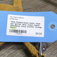 Thick Padded Nylon Halter, snap, adj *gc/fair, dirty, faded, stains, discolored, rusty, knotted
