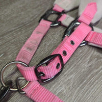 Fleece - Nylon Halter, adj, snap, braided lead *gc, stains, dingy, mnr dirt, hair, pilly, snags, threads
