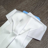 Pre-Tied Satin Stock Tie, Bag, *new

