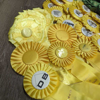 47 1980-2010 Assorted Horse Show Ribbons *Craft projects *
