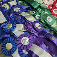 198 1980-2010 Assorted Horse Show Ribbons *Craft projects *
