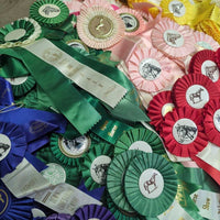 198 1980-2010 Assorted Horse Show Ribbons *Craft projects *
