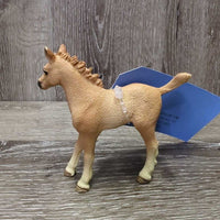 Foal *vgc
