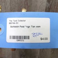 Foal *vgc
