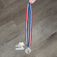Horse Show Award Silver Medal with Neck Ribbon *vgc, creases, mnr scuffs, rubs & scratches, older
