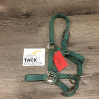 Thick Nylon Halter, adj *clean, faded, discolored, rusty, rubbed/frayed edges, oxidized, gc