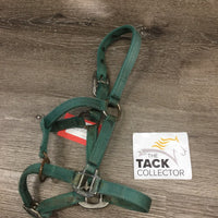 Thick Nylon Halter, adj *clean, faded, discolored, rusty, rubbed/frayed edges, oxidized, gc
