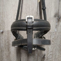 Padded Crank Dressage Noseband Only, flash & buckle attachment *v.dirty, stiff, older, tight keeper, rubs
