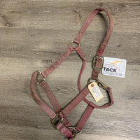Thick Nylon Halter, adj, snap *v.faded, stains, rubbed/snagged edges, rubbed/frayed holes, dirty, rust
