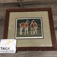 "Young Albertans" Foal Print, Matted, Wood Frame *gc, dusty, scratches & rubbed edges
