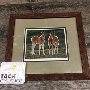 "Young Albertans" Foal Print, Matted, Wood Frame *gc, dusty, scratches & rubbed edges