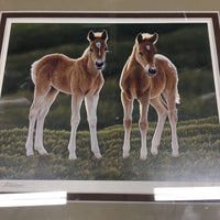 "Young Albertans" Foal Print, Matted, Wood Frame *gc, dusty, scratches & rubbed edges
