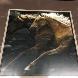 Horse Head Print, Framed & Matted *dusty, gc, scratches