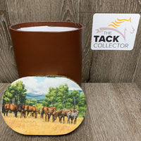 Tall Narrow Box, horse print lid *vgc, bent edges
