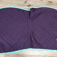 Quilted Baby Saddle Pad *gc, hairy, stains, threads, edge pilling, rubs