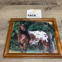 Picture: Appaloosa, Wood Frame *v.dirty, scratches, scrapes, trimmed picture
