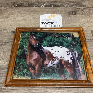 Picture: Appaloosa, Wood Frame *v.dirty, scratches, scrapes, trimmed picture