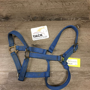Thick Nylon Halter *faded, dirty, rusty, gc, frayed/rubbed edges