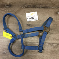 Thick Nylon Halter *faded, dirty, rusty, gc, frayed/rubbed edges
