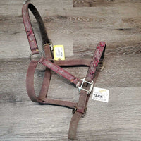 Nylon Halter, adj, lined nose/crown *older, dirty, v.rubbed & torn, faded, rust
