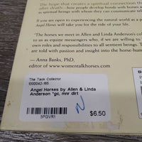 Angel Horses by Allen & Linda Anderson *gc, mnr dirt