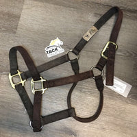 Thick Nylon Halter, adj *fair, v.faded/discolored, dirty, stains, frayed edges & holes