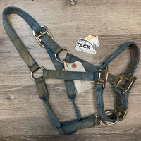 Thick Nylon Halter, adj, snap *fair, v.dirty & faded, frayed holes, frayed/rubbed edges, stains, chipped, older