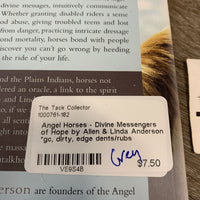 Angel Horses - Divine Messengers of Hope by Allen & Linda Anderson *gc, dirty, edge dents/rubs
