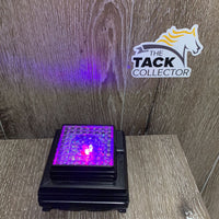 3D Laser Photo Crystal Rearing Horse Lamp *vgc, WORKS
