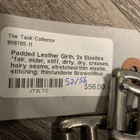 Padded Leather Girth, 2x Elastics *fair, older, stiff, dirty, dry, creases, hairy seams, stretched/thin elastic, stitching: thin/undone