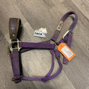 Thick Nylon Halter, add on Leather Bronc Noseband *dirty, frayed/rubbed edges, frayed holes, threads, stiff, curled edges, faded, fair