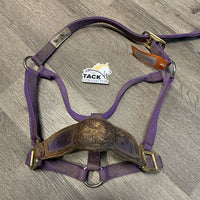 Thick Nylon Halter, add on Leather Bronc Noseband *dirty, frayed/rubbed edges, frayed holes, threads, stiff, curled edges, faded, fair